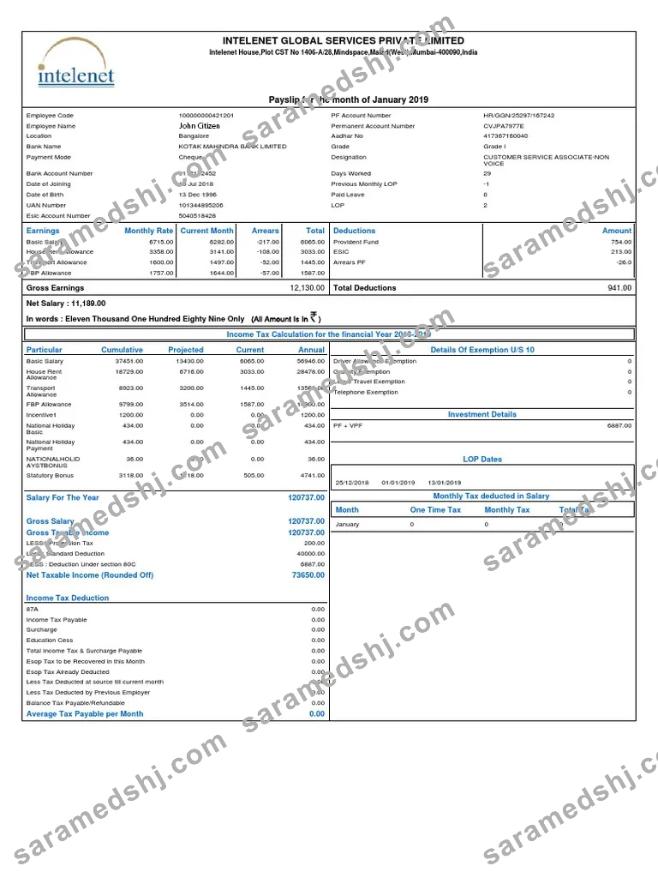 INDIA INTELENET Global Services Limited payslip in Word and PDF formats